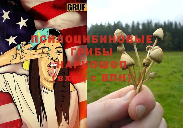 винт Гусиноозёрск