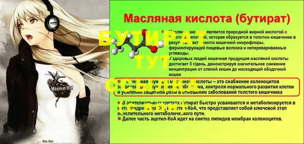 шишки Гусев