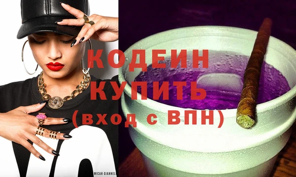 шишки Гусев