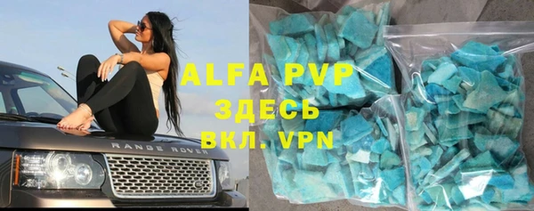 шишки Гусев
