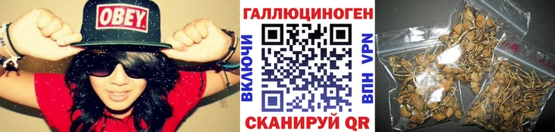 Псилоцибиновые грибы Magic Shrooms  Купить где  Называевск 